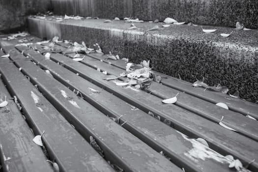 A park bench covered with leaves in autumn monochrome photo. Autumnal leaves, bright foliage on ground. Fallen foliage. High quality picture for wallpaper, travel blog.