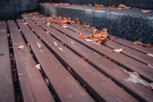 Park bench with bright leaves in autumn concept photo. Autumnal leaves, bright foliage on ground. Fallen foliage. High quality picture for wallpaper, travel blog.