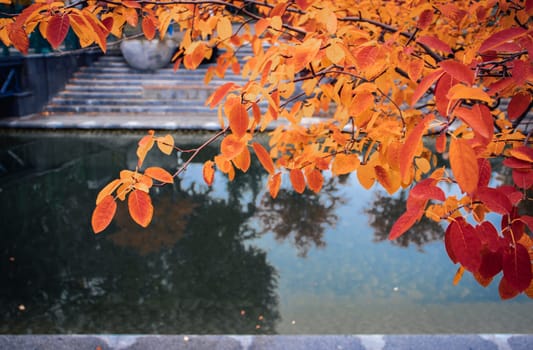 Autumnal red tree near water concept photo. Autumn in the public park. Idyllic scene, fall season. High quality picture for wallpaper, travel blog.