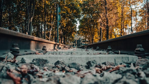 Railway road through a forested area concept photo. Majestic scenery of railway road in forest. Railroad in Europe. Commercial transportation. High quality picture for wallpaper, travel blog.