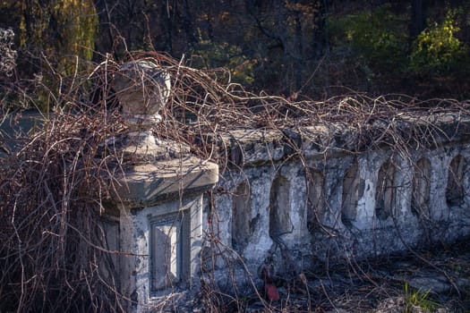 Row of ancient stone railings in castle park concept photo. Ruined old ancient palace in Ukraine. Antique white classic balustrade. Details of architecture fence. Historic baroque border.