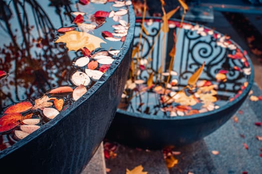 Close up view of a garden pond with autumn leaves concept photo. Beautiful nature scenery photography. Fall season, red leaf in a pots. Idyllic scene. High quality picture for wallpaper, travel blog.