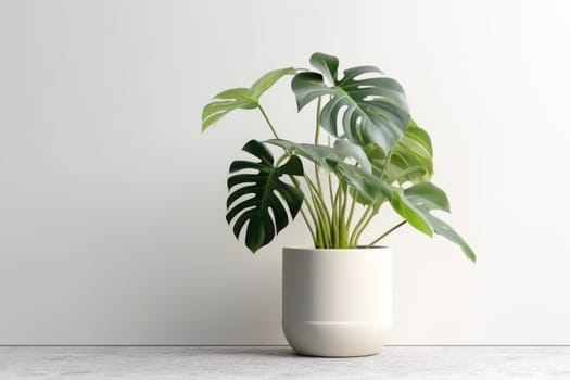 Potted plant with isolated white background. AI Generated