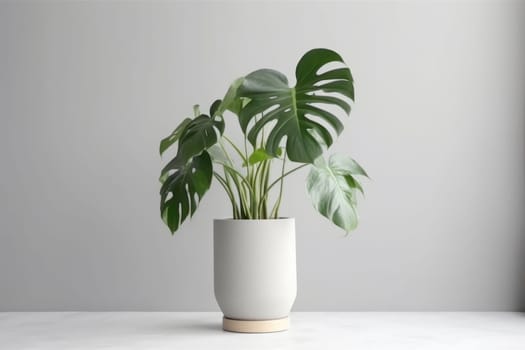 Potted plant with isolated white background. AI Generated