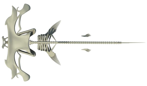 Hammerhead Shark Skeleton 3D rendering model