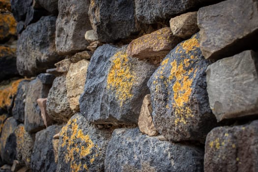 Close up yellow lichen cover the rough stone wall concept photo. Show with macro view. Rocks full of the moss texture in nature for wallpaper.