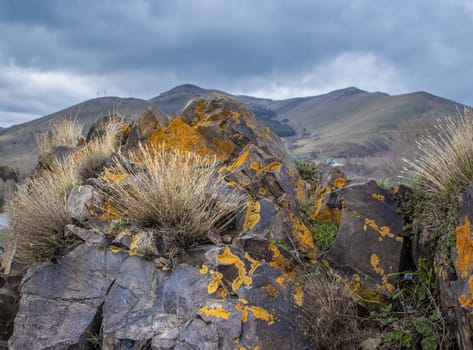 Bunch of dry grass on the rocks concept photo. Plant surrounded by rocks in mountains. High quality picture for wallpaper