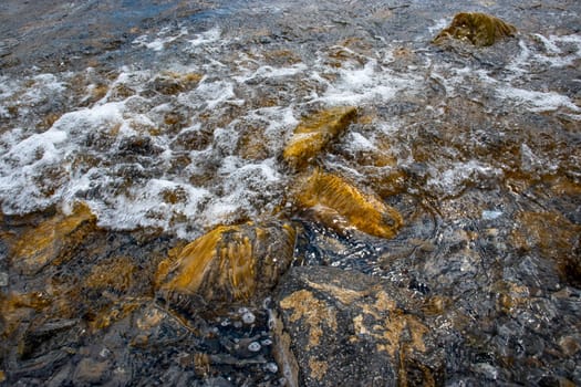 Close up water with algae on the beach concept photo. Pebbles under water. The view from the top, nautical background. High quality picture for wallpaper