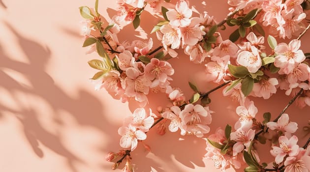 Flowers on a peach background. Spring floral flat lay background. High quality photo