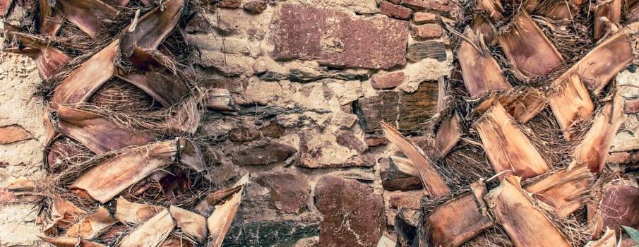 Close up old beige brick texture wall concept photo. Medieval architecture, backyard with palm trees. District of European town, Barcelona. High quality picture for wallpaper, travel blog.