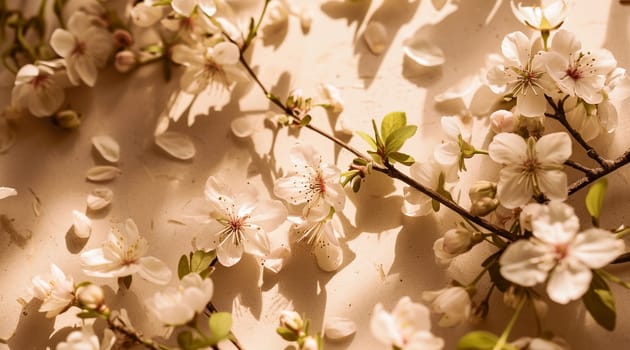Flowers on a beige background. Spring floral flat lay background. High quality photo