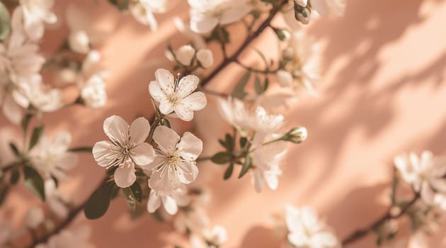 Flowers on a peach background. Spring floral flat lay background. High quality photo