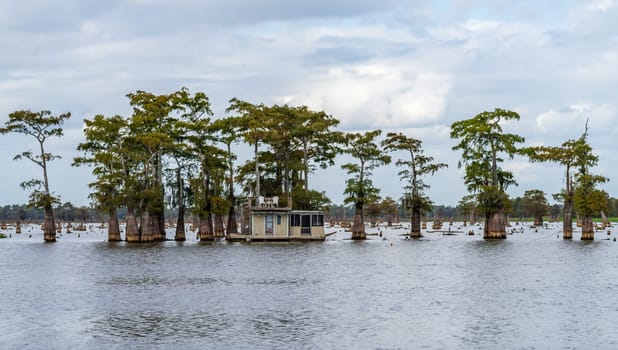 House boat with balcony moored in calm waters of the bayou of Atchafalaya Basin near Baton Rouge Louisiana