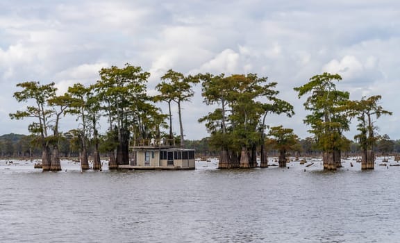 House boat with balcony moored in calm waters of the bayou of Atchafalaya Basin near Baton Rouge Louisiana