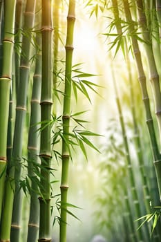 Bamboo forest with green leaves. Beautiful nature background. Vector illustration.Bamboo forest with sunlight and bokeh. Natural background.Green bamboo forest in the morning. Nature background. Shallow depth of field.