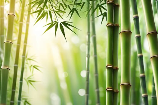 Bamboo forest with green leaves. Beautiful nature background. Vector illustration.Bamboo forest with sunlight and bokeh. Natural background.Green bamboo forest in the morning. Nature background. Shallow depth of field.