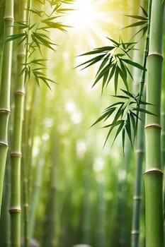 Bamboo forest with green leaves. Beautiful nature background. Vector illustration.Bamboo forest with sunlight and bokeh. Natural background.Green bamboo forest in the morning. Nature background. Shallow depth of field.