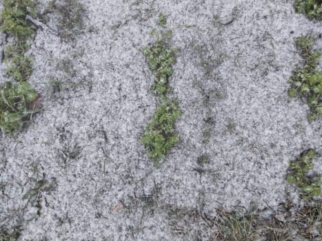 Texture of fallen snow on the objects