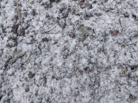 Texture of fallen snow on the objects