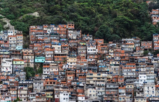 Colorful favela homes scatter on a steep Rio hillside, forming a perplexing maze.