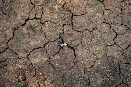 Overhead view of cracked earth texture demonstrating drought impact and lack of water.