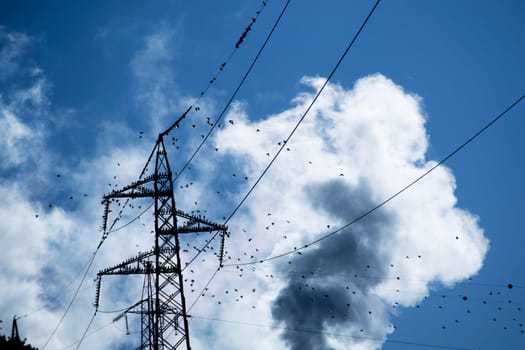 Photographic documentation of a flock of birds on an electrical pylon in blue sky 