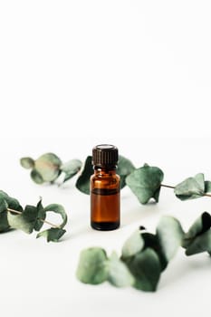 A bottle of fragrant cosmetic or essential oil on a white background surrounded by sprigs of eucalyptus.