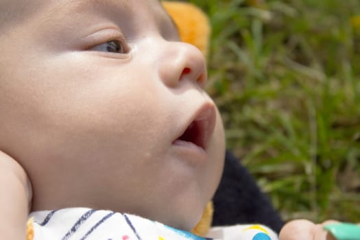 Two month old baby portrait. Happy expression