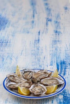 oysters fresh plate healthy meal fon the table copy space food background rustic top view