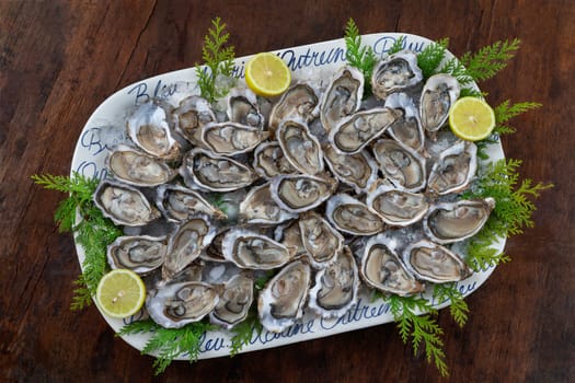 Fresh Oysters close-up on blue plate, served table with lemon and ice. . Fresh Oyster dinner in restaurant. Gourmet food