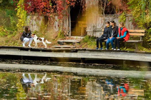 A young beautiful girl strokes a dog by the lake in an autumn park, a girl and two teenage girls are sitting next to her on a bench