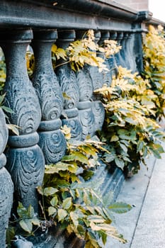 Classic old style balustrade with green ivy plants. Beautiful urban scenery photography with ivy plant covering building. Street scene. High quality picture for wallpaper, article