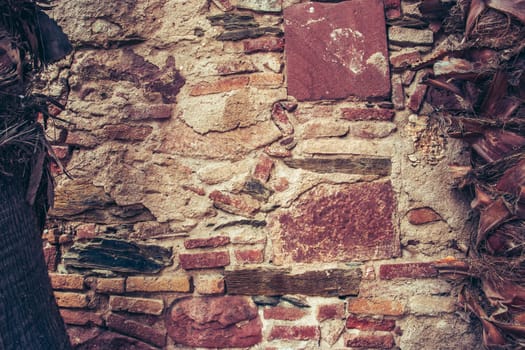 Palm tree trunk of the wall background photo. Cracked bark of tropical palm textured tree. Mediterranean architecture, brick wall. District of European town, Barcelona. High quality picture for wallpaper, travel blog.