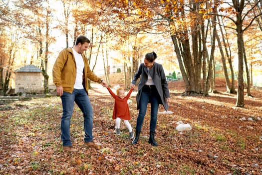 Mom and dad walk through the autumn park swinging a little laughing girl by the arms. High quality photo