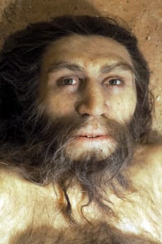 Neanderthal prehistoric man lucy style evolution display detail