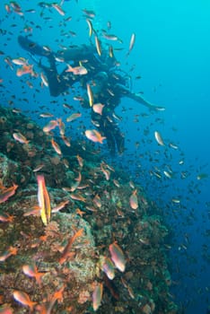 handicapped disabled leg less scuba diver on the reef background