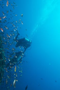 handicapped disabled leg less scuba diver on the reef background