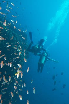 handicapped disabled leg less scuba diver on the reef background