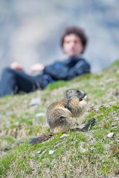 A man while looking at groundhog sitting and eating