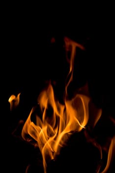 Isolated Flames on black background