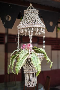 Hanging Plant Decor with Elegance