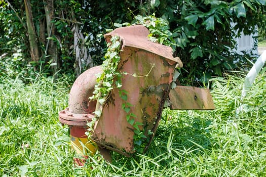 Rusty Overgrown Water Pipe Structure