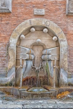 rome fountain spqr close up