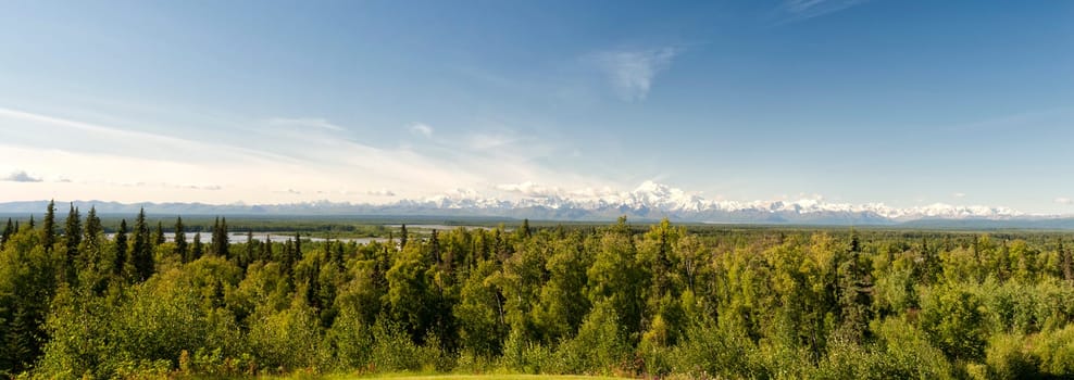 Alaska Denali Park Mount Mc Kinley panorama