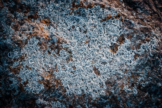 The surface of the mountain stone wall. photo Rock texture. White gray grunge background with sunlight. Texture in nature for wallpaper. High quality picture for wallpaper