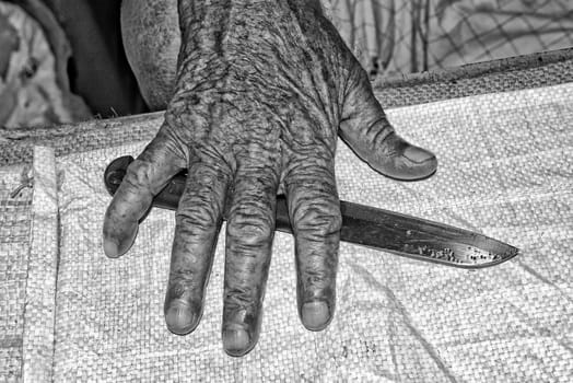 Hands of retired fisherman who had worked hardly in his life