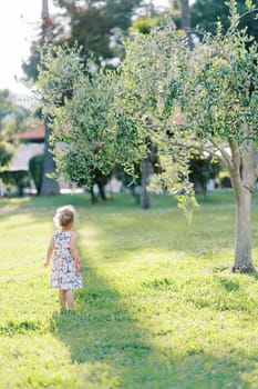 Little girl stands in a clearing and looks at a young green tree. Back view. High quality photo