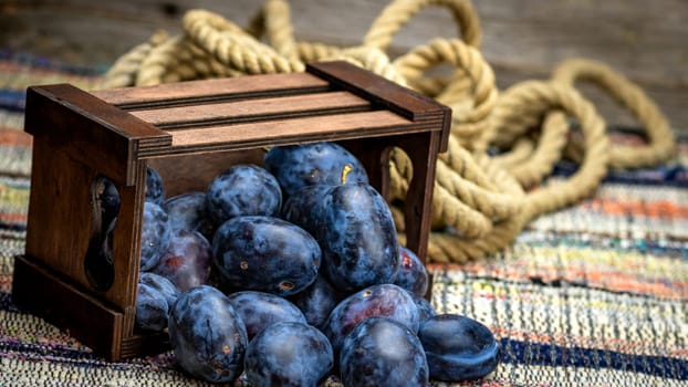 Ripe blue plums in a wooden crate in a rustic composition.