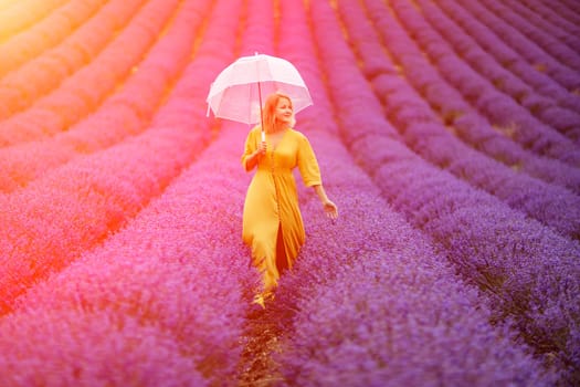 Woman lavender field. A middle-aged woman in a lavender field walks under an umbrella on a rainy day and enjoys aromatherapy. Aromatherapy concept, lavender oil, photo session in lavender.