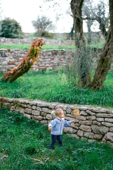 Little girl with a yellow branch in her hand walks along the green grass past the stone fence in the park. Side view. High quality photo
